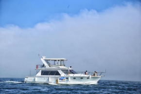 Yacht Stay